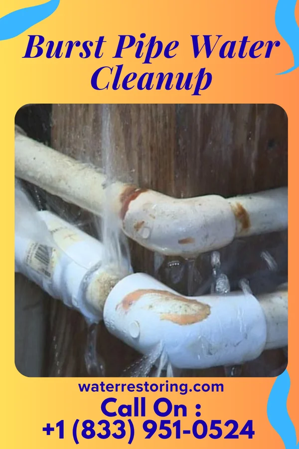 Burst Pipe Water Cleanup in Montz, LA
