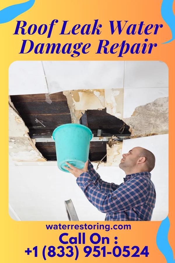 Roof Leak Water Damage Repair in Montz, LA