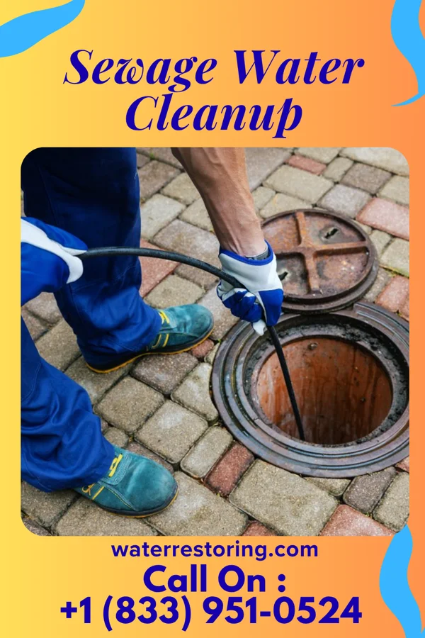 Sewage Water Cleanup in Montz, LA