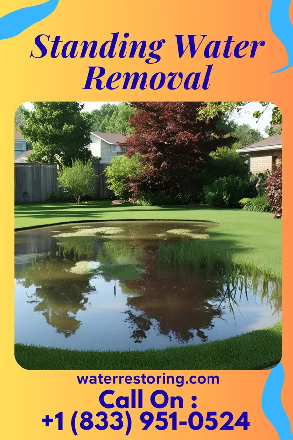 Standing Water Removal in Montz, LA